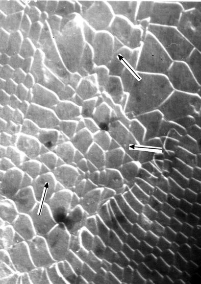 Network inSi -Nidisilicide interface at high magnification