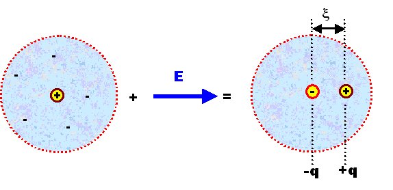 Atom polarization