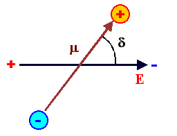 dipole infield