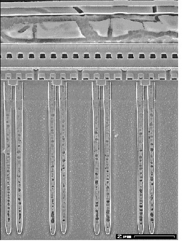 Cross-section 64MDRAM