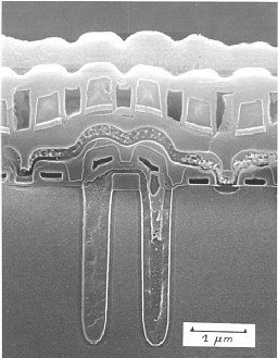 Cross section 16MDRAM