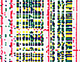 Detailed yield map