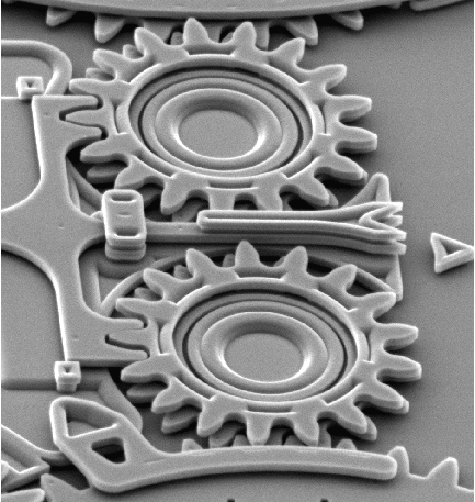 Microscopic gear wheel system