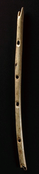 Suebian stone age recorder