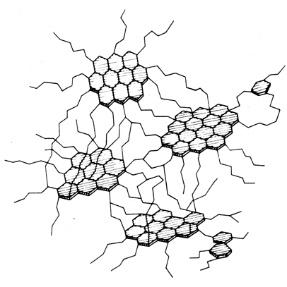 Structure of coal