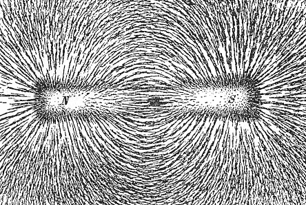 Filed lines of a permanent magnet