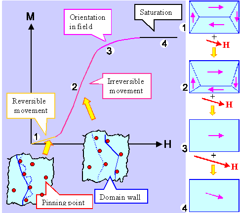 Hystereses curve of ferromagentic materials