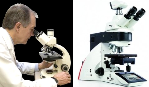 Light microscopes