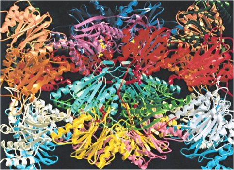 Protein structure