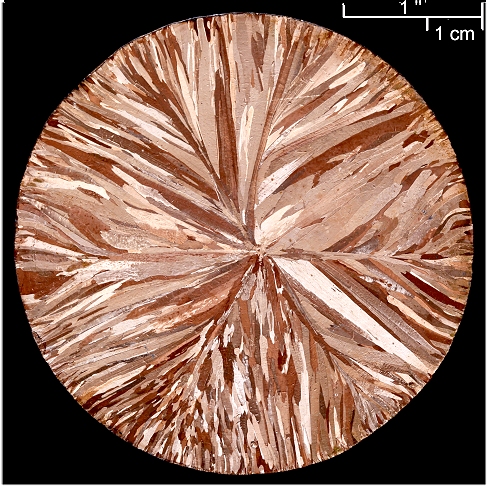 Grain structure after solidification