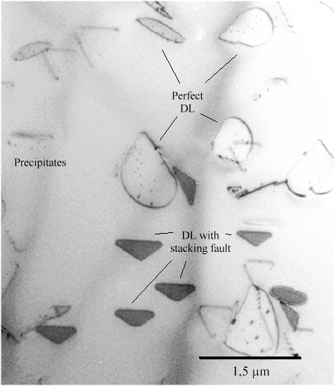 Dislocation loops in GaP