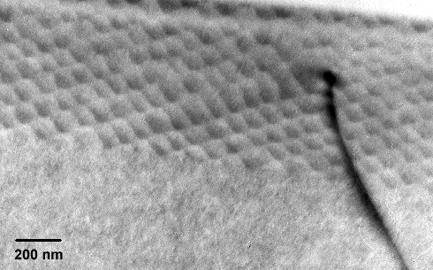 Grain boundary in silicon