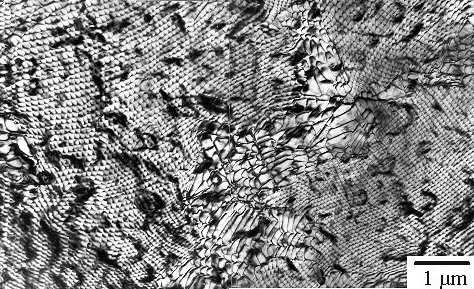 Phase boundary top view