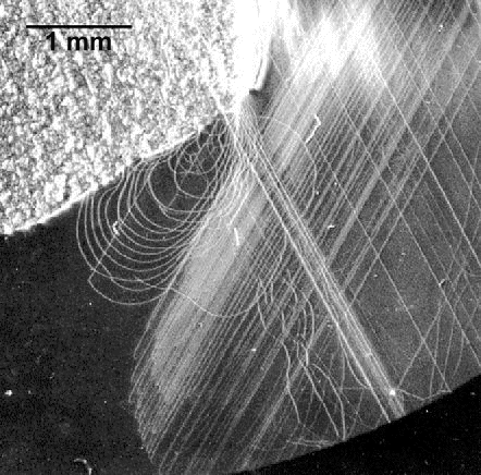 Dislocation multiplication observed 
by X-ray topography