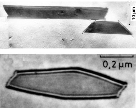 Stacking fault discs in silicon