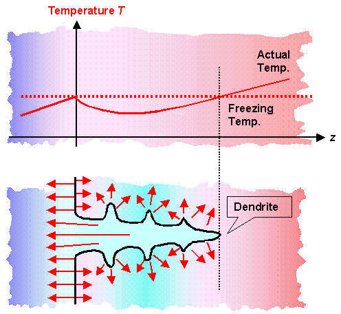 Constitutional supercooling and dendrite formation