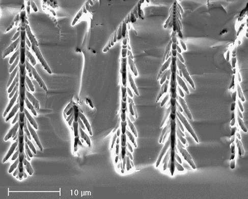 Dendritic pores in silicon