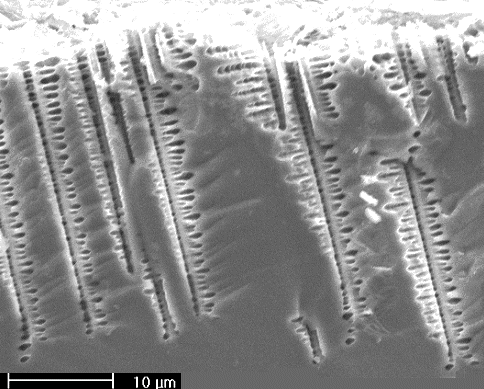 Dendritic pores in silicon