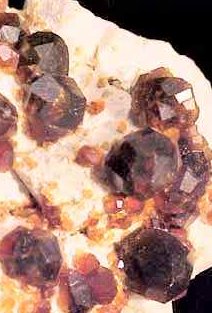 Garnets