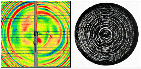 Striations in silicon single crystals