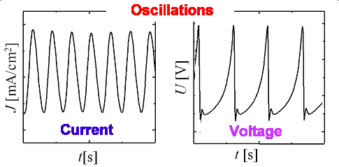 Electrochemical oscillation