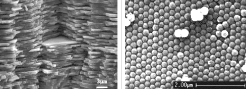 Nacre and opal; photonic crystals