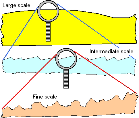 Polishing and scales