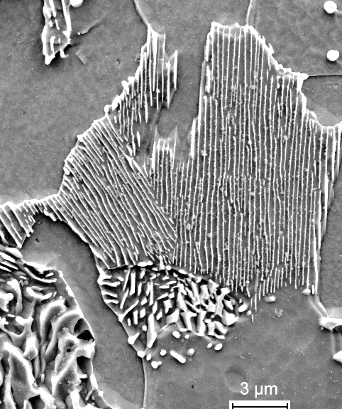 Etching steel and SEM