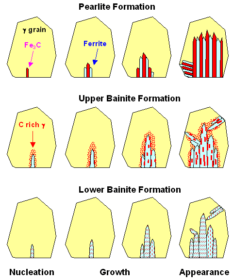 Comparison of pearlite and bainite formation