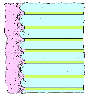 Pearlite formation