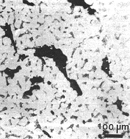 Microstructure of Dehli pillar