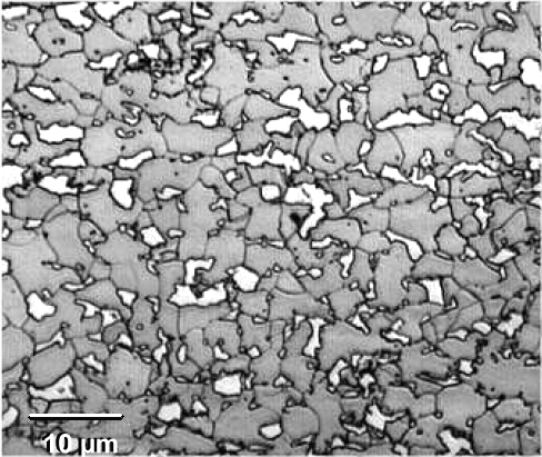 Structure of dual phase steel