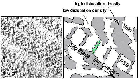 Fatigure and dislocation structure