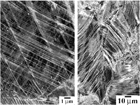 Structure of deformed TWIP steel