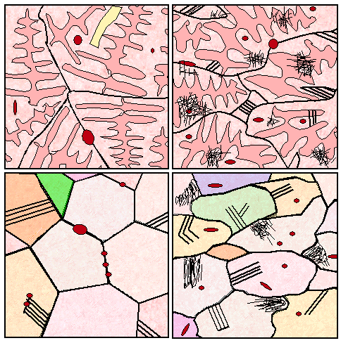 Microstructure of copper - schematic, after 
treatments