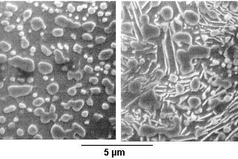 Spheroidized cementite in UHCS