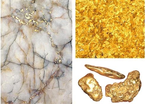 Forms of gold