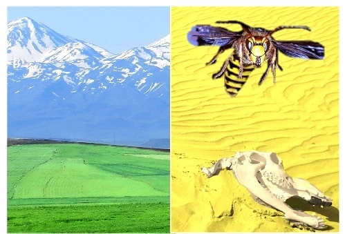 Good and bad colorws