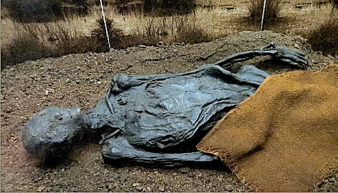 Gottorf castle, bog body, Moorleiche