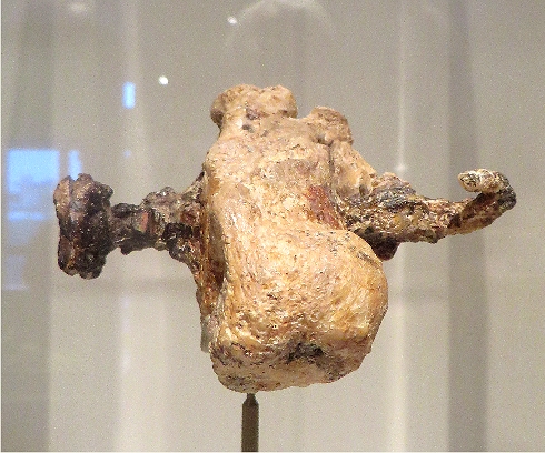 Israel museum; crucifixion remains