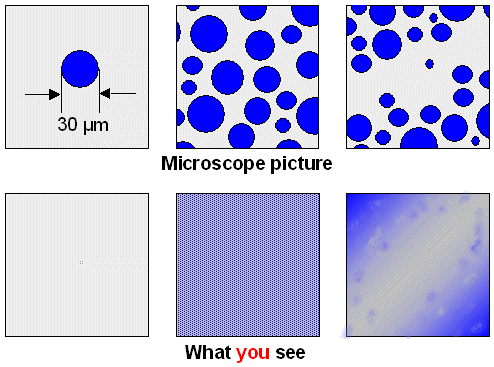 Wootz structure visibility; seeing cementite