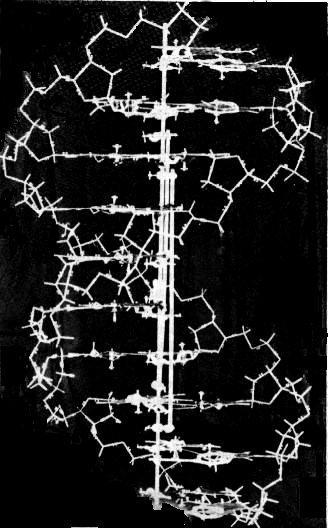 Double helix original model