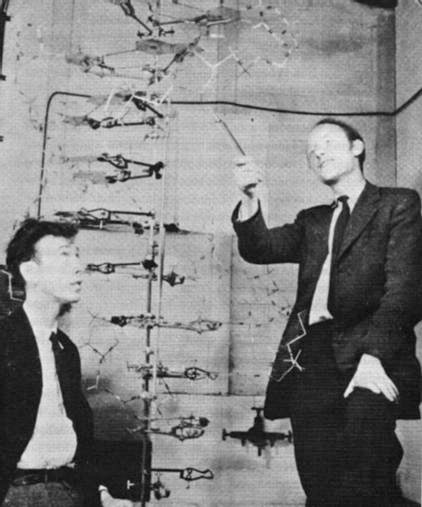 Watson and Crick