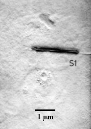 Precipitate 3