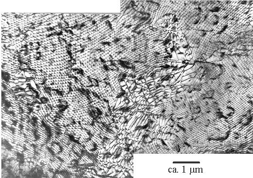 Phasengrenze Si-NiSi2