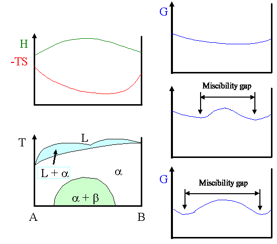 Construction of eutectic phase diagrams