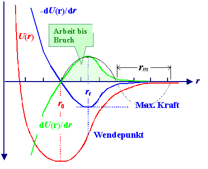 Bindungspotential und Bruch
