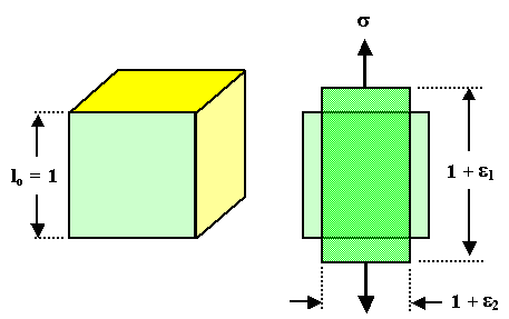 Querkontraktion