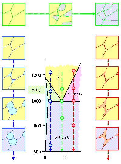 Kinetics of Phase Transformation in the Fe - C System