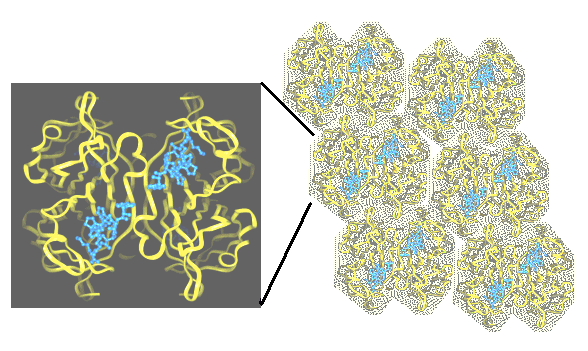 Proteinkristall